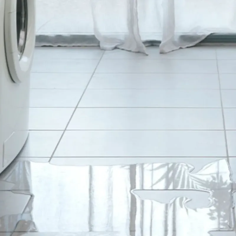 Appliance Leak Cleanup in Aledo, IL