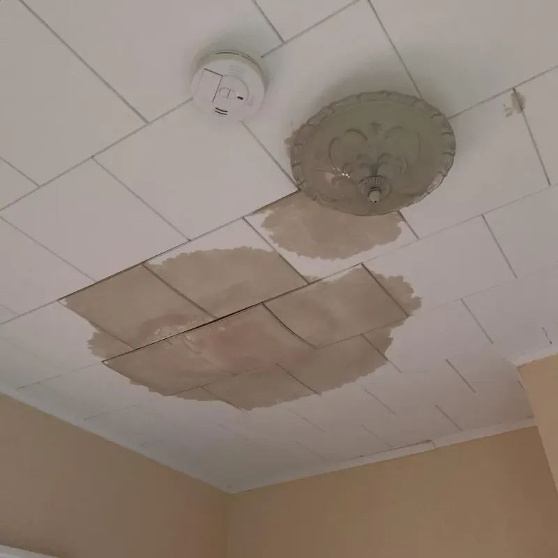 Ceiling Water Damage Repair in Aledo, IL