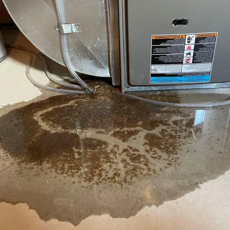 Pipe Burst and Leak Restoration in Aledo, IL