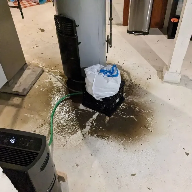 Sewage Backup Cleanup Service in Aledo, IL